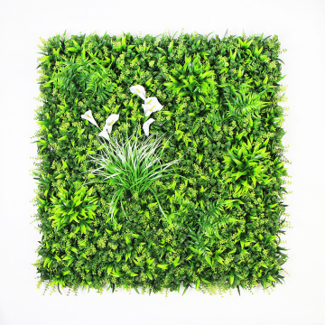 Customized new design cheap vertical green plant walls with foliage